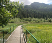 Lago d'Ampola