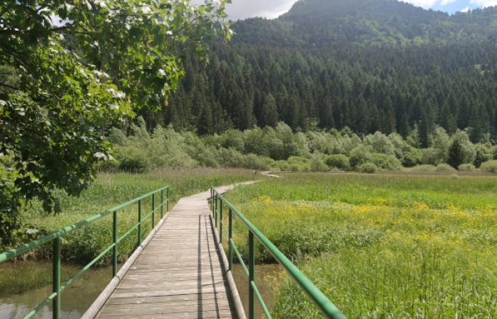 Lago d'Ampola